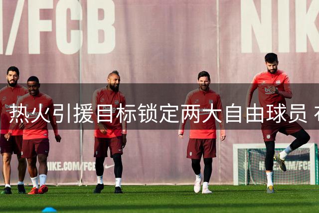 热火引援目标锁定两大自由球员 布朗比尔或加盟南海岸